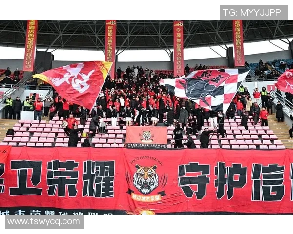 里尔足球俱乐部核心球星闪耀赛场引领球队再创辉煌征程